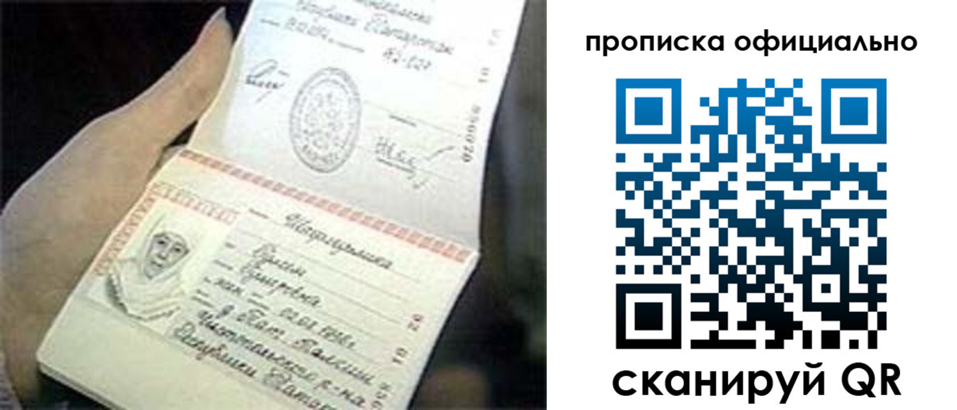 прописка поиск в Краснозаводске